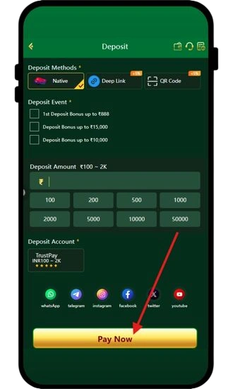 click on pay now button